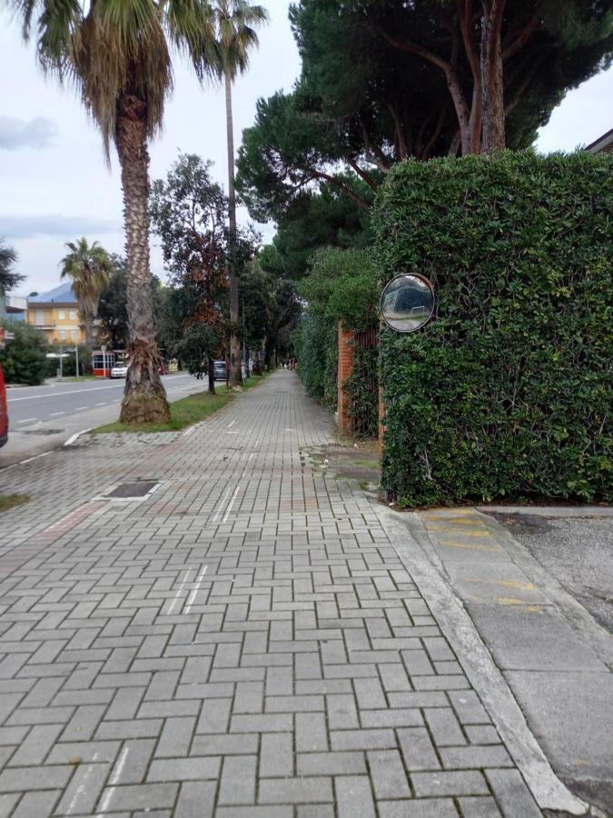 Bilocale Climatizzato A 850M Dalla Spiaggia Casa Katia Марина-ди-Масса Экстерьер фото