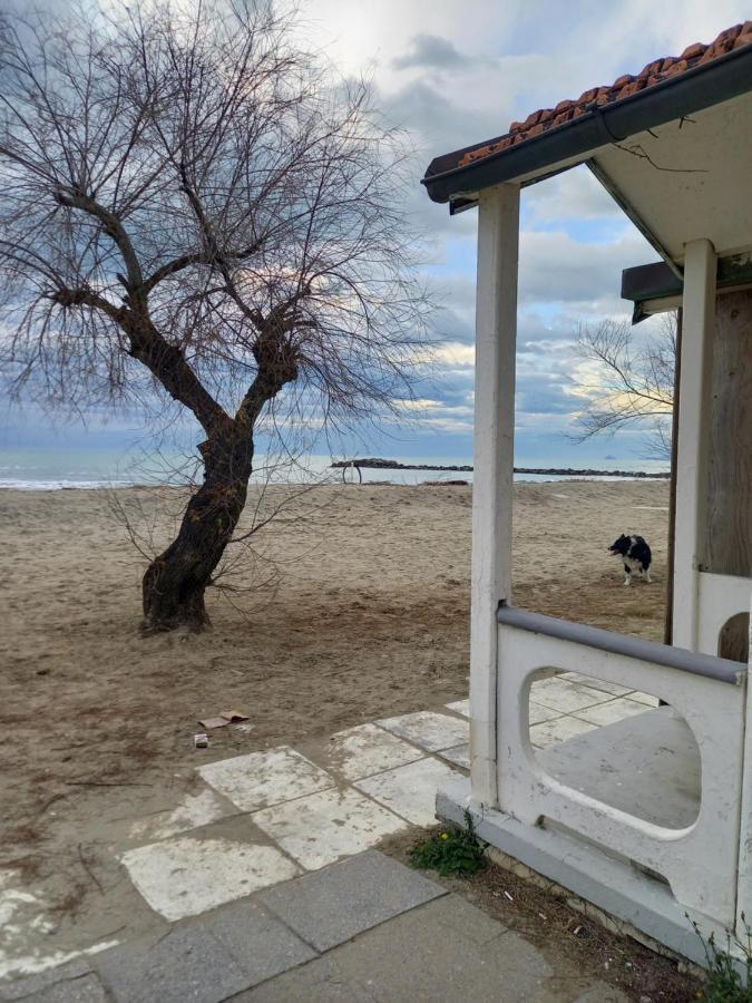 Bilocale Climatizzato A 850M Dalla Spiaggia Casa Katia Марина-ди-Масса Экстерьер фото
